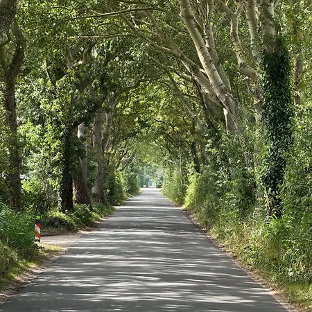 Maison Colombe Oudesluis (North Holland)