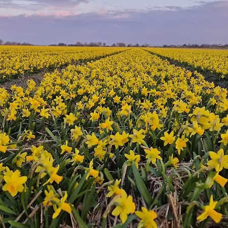 דירה Maison Colombe Oudesluis (North Holland)