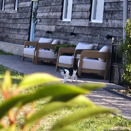 Maison Colombe Oudesluis (North Holland)