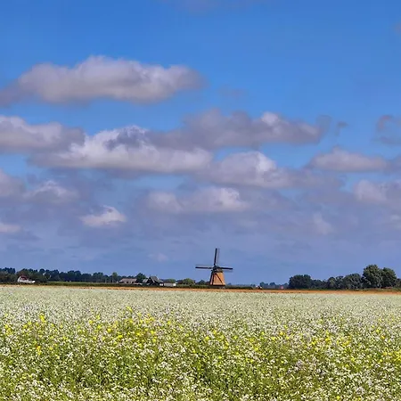 Apartment Maison Colombe